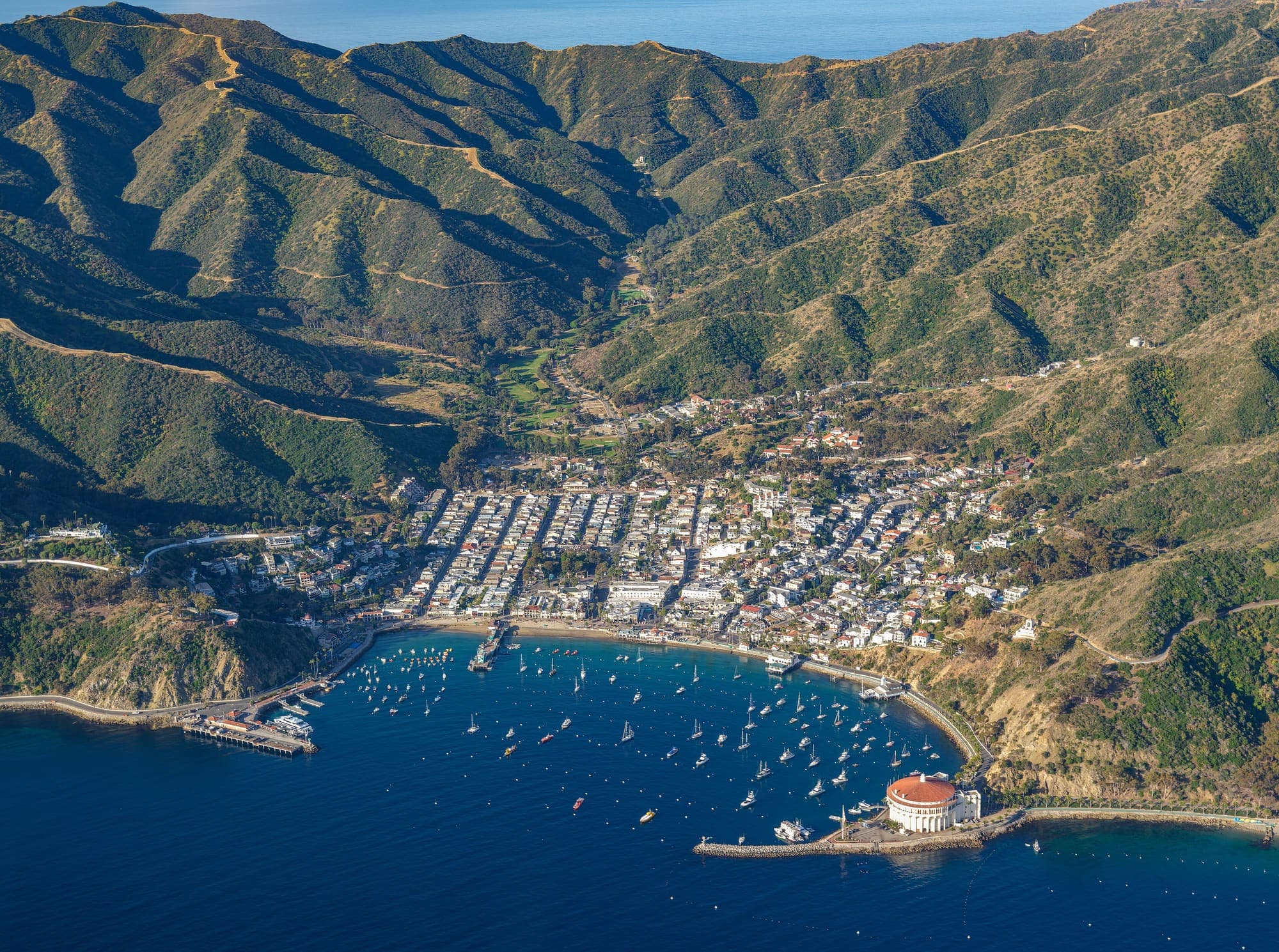 Aerial view of Avalon, its crescent bay and the hills behind town