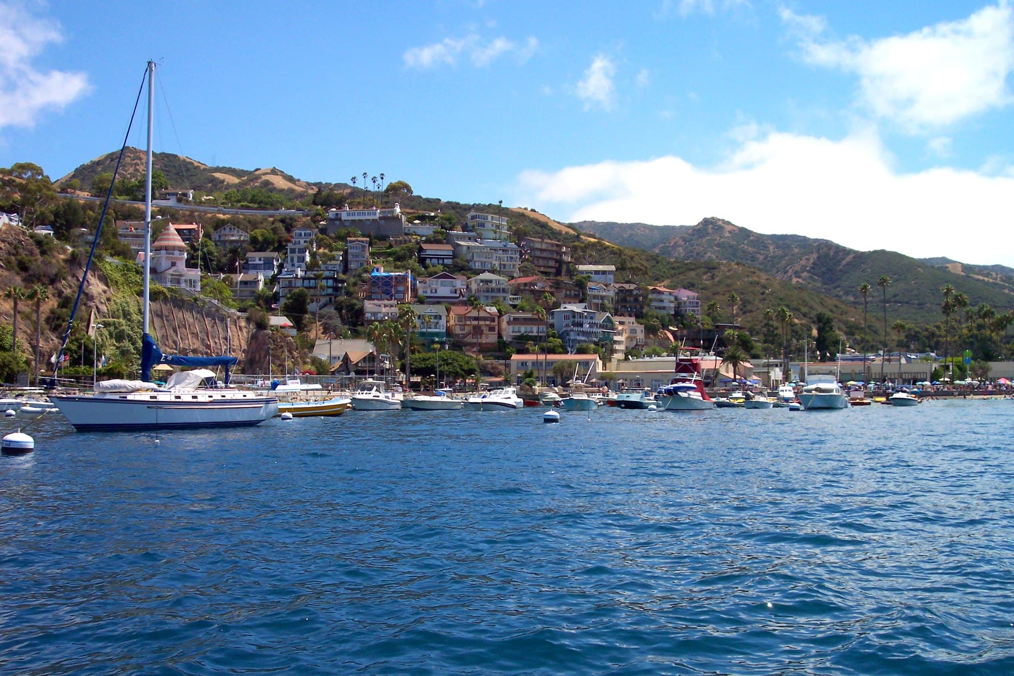 Avalon’s hillside and harbor, seen from the water as you arrive