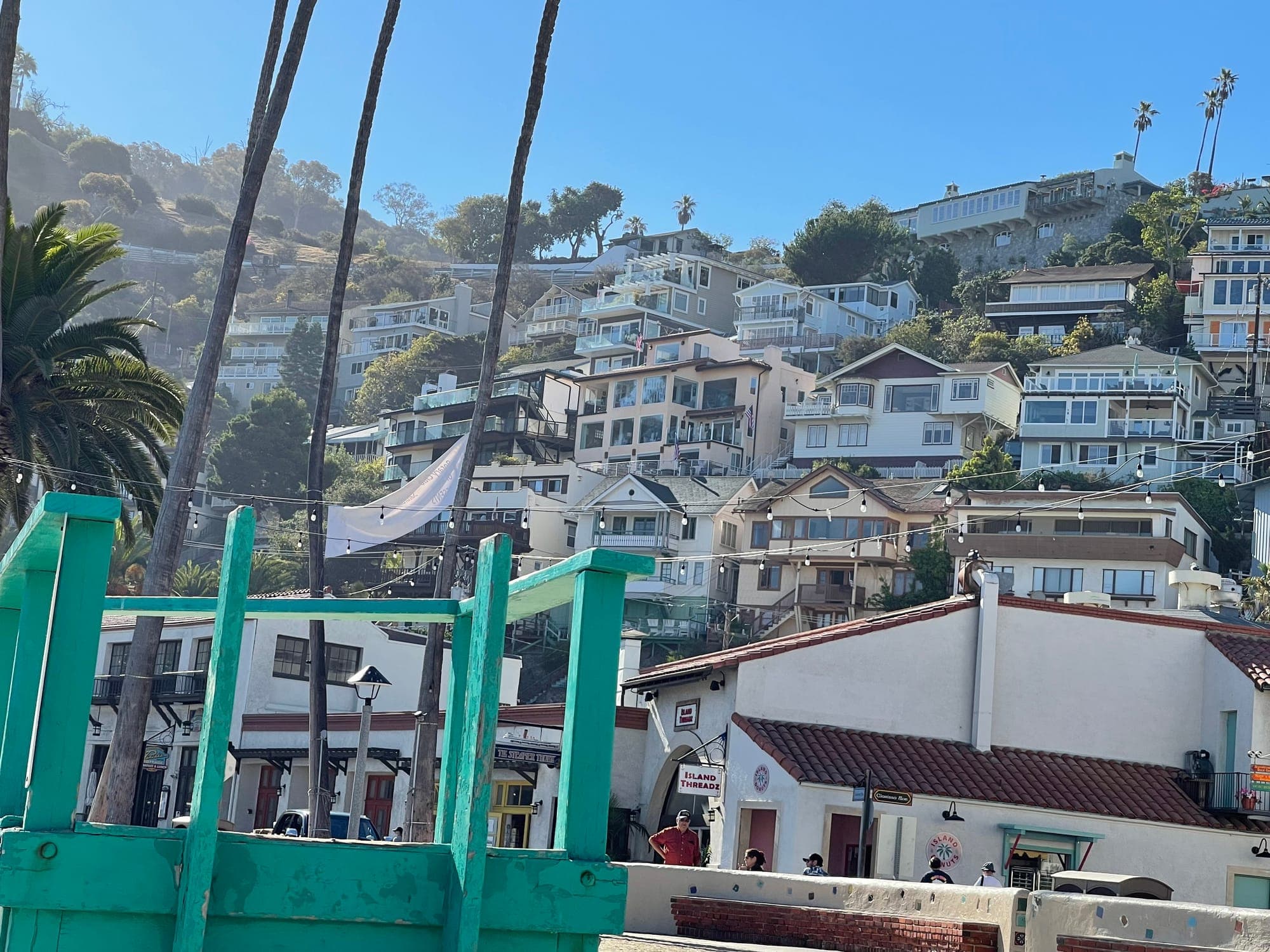 Avalon’s hillside houses above the waterfront