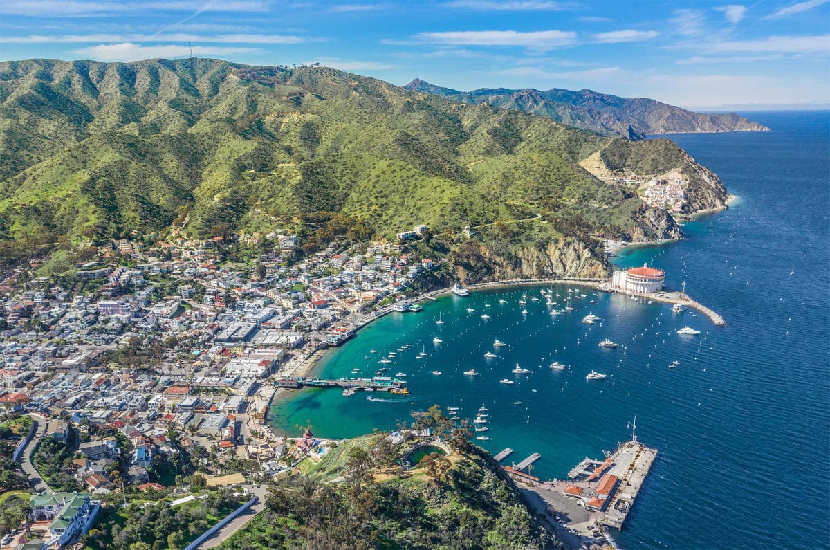 Love Catalina Island