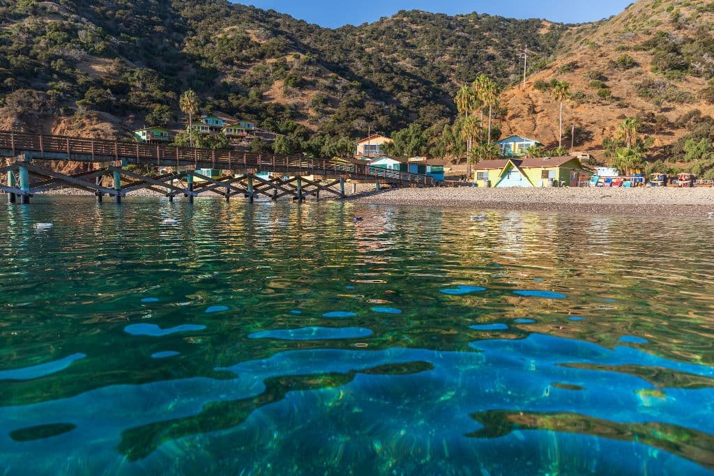 Catalina Sea Camp (CIMI)